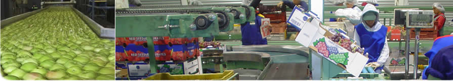 Mectron Soluciones AgroIndustriales