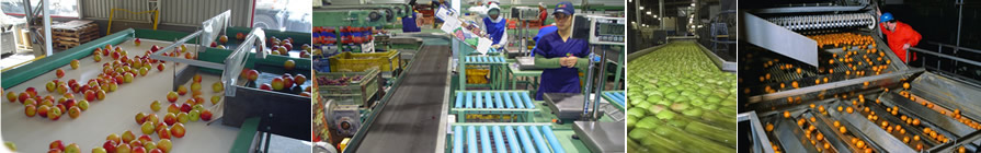 Mectron Soluciones Industriales