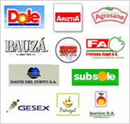 Algunos Clientes: Dole, Ariztia, Agrosano, Bauzá, Fruticola Angol, David del Curto, Subsole, Gesex, Pedregal, entre otros